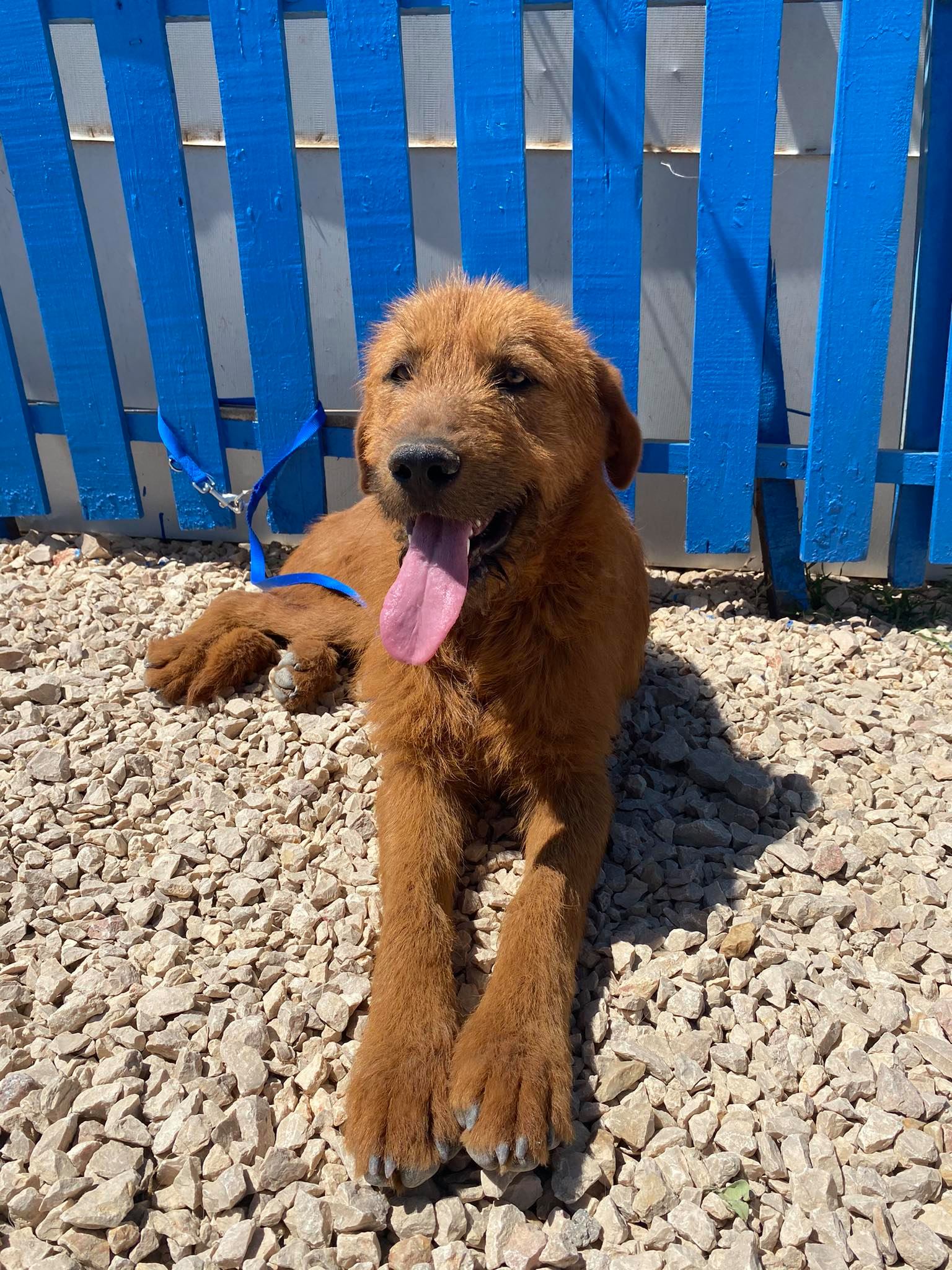 Roland (fka Emerson)